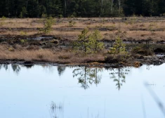 Ceturtdien Latvijā būs pārsvarā mākoņains laiks