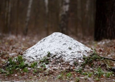 Ceturtdiena būs pārsvarā mākoņaina