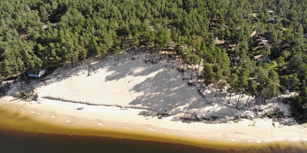 Lai arī mežam līdzās ir Baltā kāpa, konkrētajam zemesgabalam nav īpaši aizsargājamas teritorijas statusa.