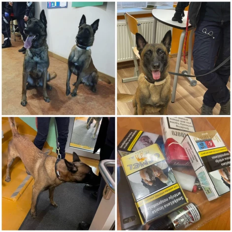 Laiku pa laikam likumsargi ierodas skolās ar dienesta suni, un tā degunu grūti apmānīt. Attēlā – reids Talsu novada vidusskolā un atradumi.