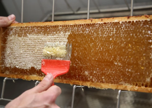 Igaunijas laboratorijas Celvia CC AS medus autentiskuma noteikšanas metode ir balstīta uz molekulārajām analīzēm.