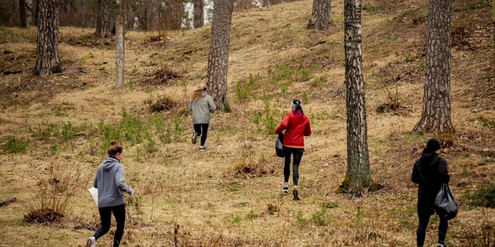 Maratona organizatori un dalībnieki kopā sastādījuši teju 8 000 eglīšu Pierīgā un visā Latvijā.