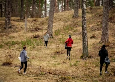 Maratona organizatori un dalībnieki kopā sastādījuši teju 8 000 eglīšu Pierīgā un visā Latvijā.