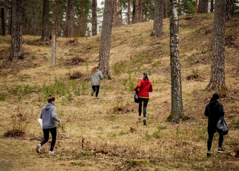 Maratona organizatori un dalībnieki kopā sastādījuši teju 8 000 eglīšu Pierīgā un visā Latvijā.