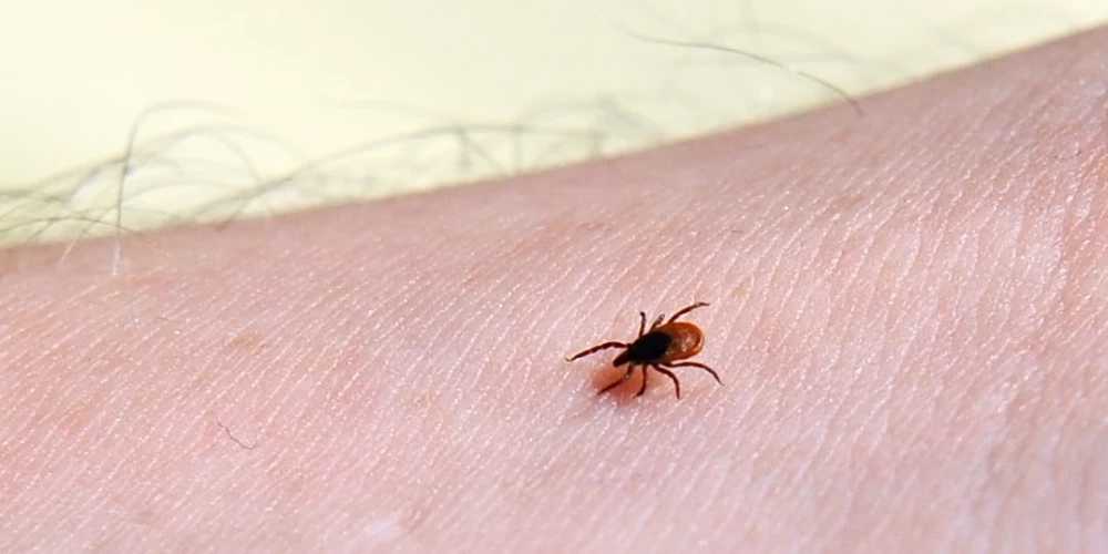 Иллюстративное фото.