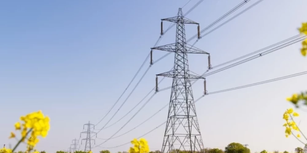 Иллюстративное фото.