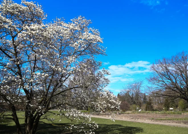 Да будет свет! 5 февраля завершится самый темный квартал года и начнется солярная весна