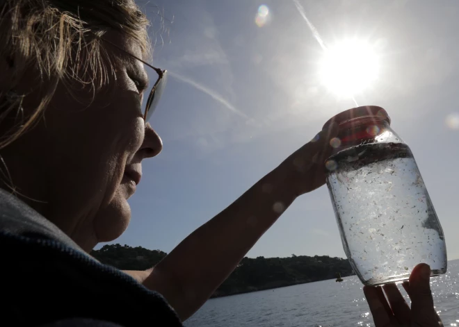 Pēdējo astoņu gadu laikā dramatiski pieaudzis cilvēku orgānos atrasto mikroplastmasas daļiņu daudzums