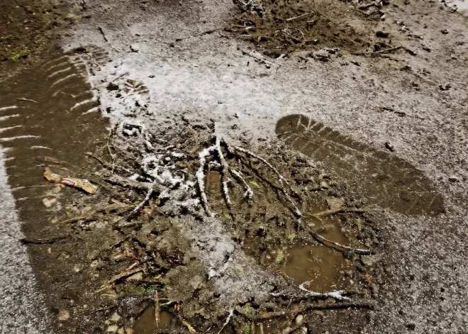 Veltas kundze četrrāpus uz ceļiem bedrītes lāpa... kur ir pašvaldība? Carnikavieši sašutuši par kādas ielas stāvokli