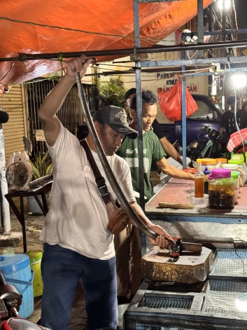 Vai kobras asinis pie lūpām uzdrīkstēsies likt visas slavenības?