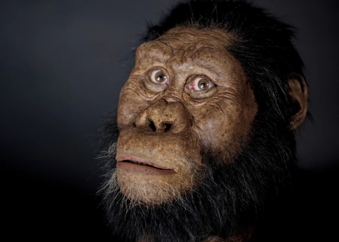 Vai Lūsija bija pirmā garo distanču skrējēja? Zinātnieki nāk klajā ar pārsteidzošu atklājumu: 27 dienas līdz "Rimi" Rīgas maratonam