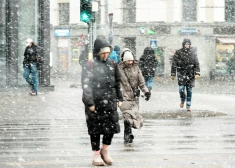 Meklē darbu, bet neveicas? Izstrādāts jauns rīks, kas var palīdzēt