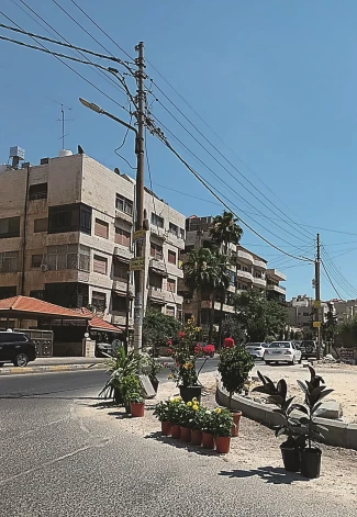 Puķes aug podos, jo ūdens šajā zemē ir liela vērtība.