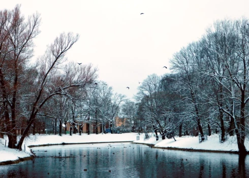 Piesnigušais Kronvalda parks un Rīgas kanāls.