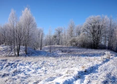 Lauku ainava ziemā. 