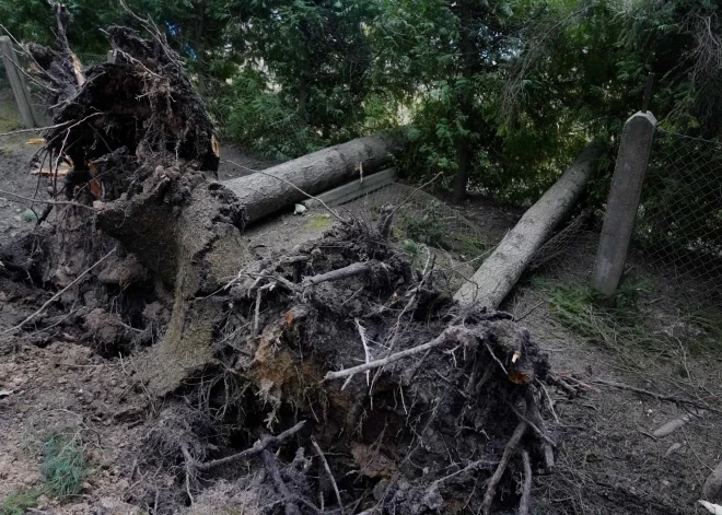 Наводнения, ураганы, жара: новое приложение Meteo.lv даст время подготовиться к экстремальной погоде