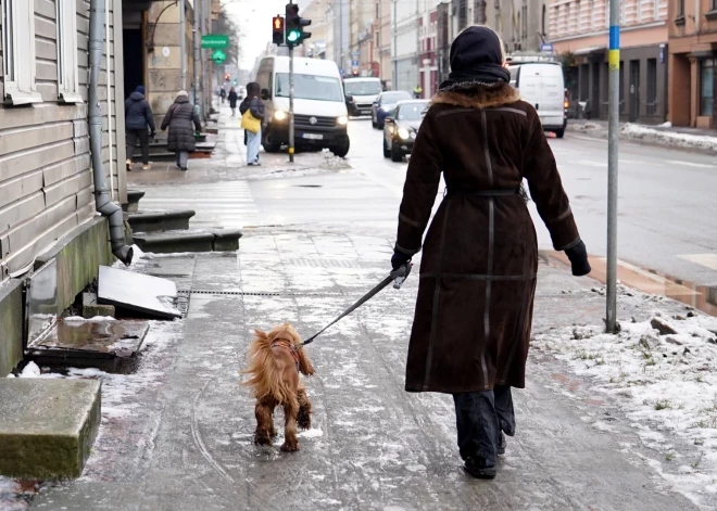 Прощаемся с зимой? Уже скоро по всей Латвии ожидается оттепель