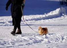 Rīgā februāra pēdējā sestdiena gaidāma mākoņaina, brīžiem iespējami nelieli nokrišņi. 