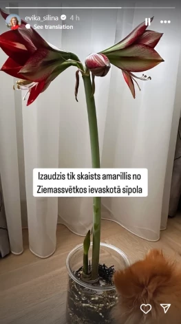 Ekrānuzņēmums no Evikas Siliņas "Instagram" stāsta.