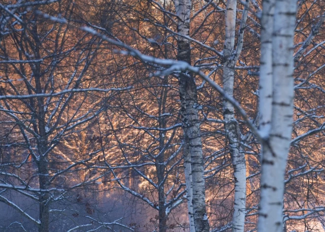 Во вторник в Риге ожидается солнечная погода, действует предупреждение о плохом качестве воздуха