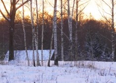 Februāra vidus Latvijā bijis trīs grādus aukstāks par normu