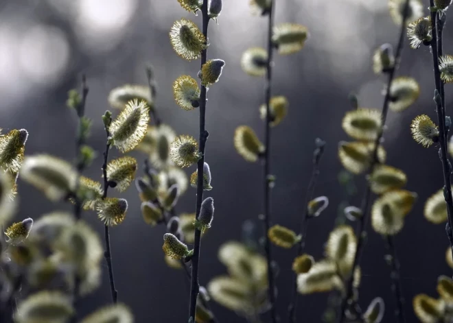 Возможны рекорды тепла: прогноз погоды на ближайшие дни