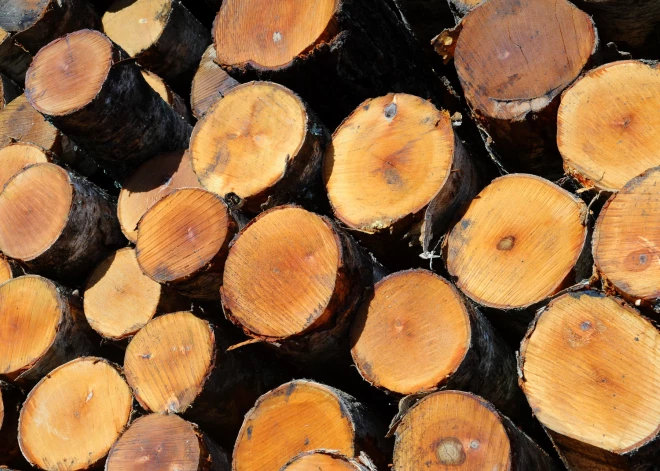 Metsä Group pārdos uzņēmumam "ACA Timber" savu Latvijas koksnes piegādes biznesu