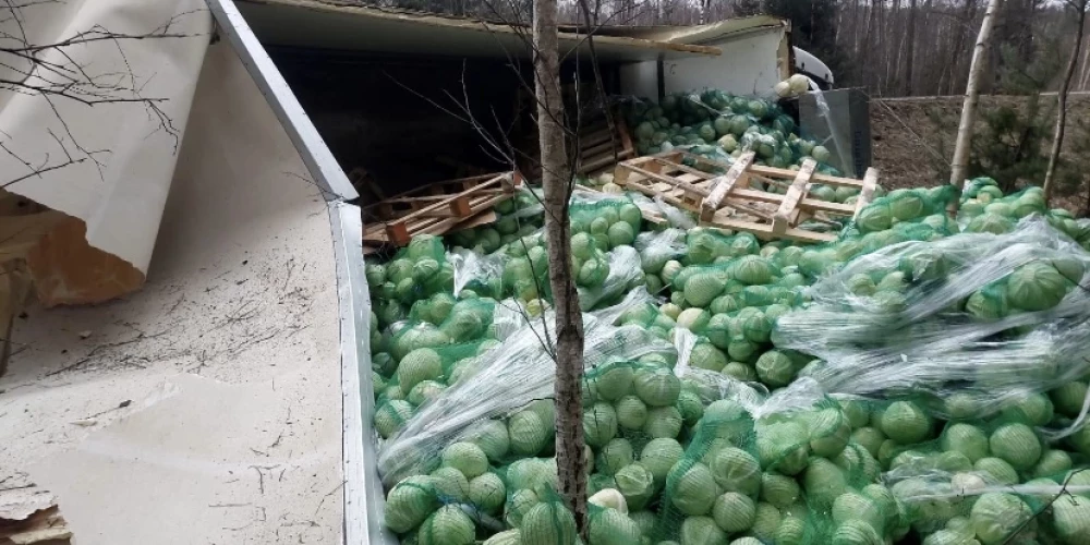 Pie Tīnūžiem avarējot kravas auto, izbirusi liela kāpostu krava. 