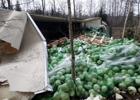 Pie Tīnūžiem avarējot kravas auto, izbirusi liela kāpostu krava. 