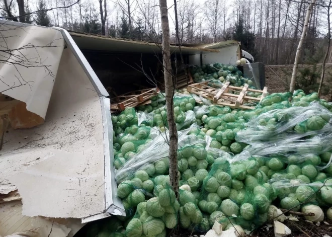 Pie Tīnūžiem avarējot kravas auto, izbirusi liela kāpostu krava