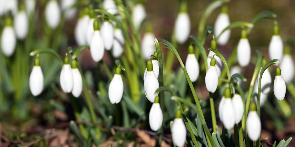 Синоптики прогнозируют, что 7 марта также могут быть побиты температурные рекорды.