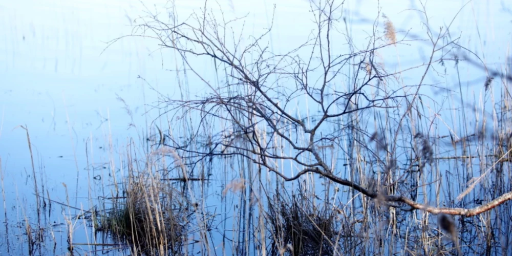 Carnikavā no ūdenstilpes izcelts bojāgājušais.