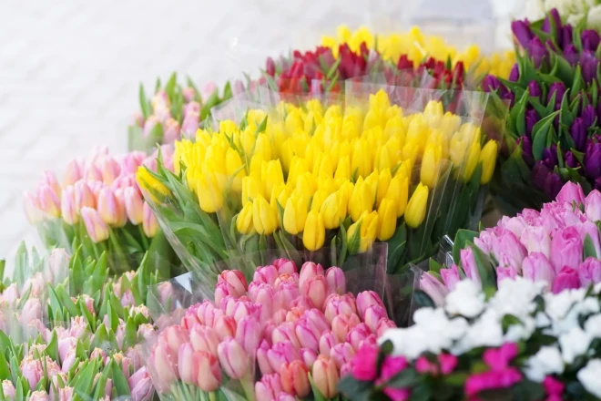 По словам продавца цветов на Центральном рынке, самые ходовые - тюльпаны, нарциссы и подснежники.