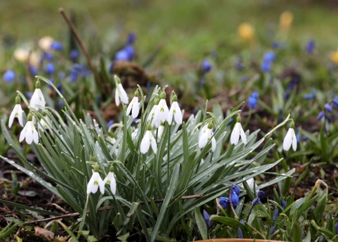 Gaisa temperatūra pirmdien var pakāpties līdz +16 grādiem.