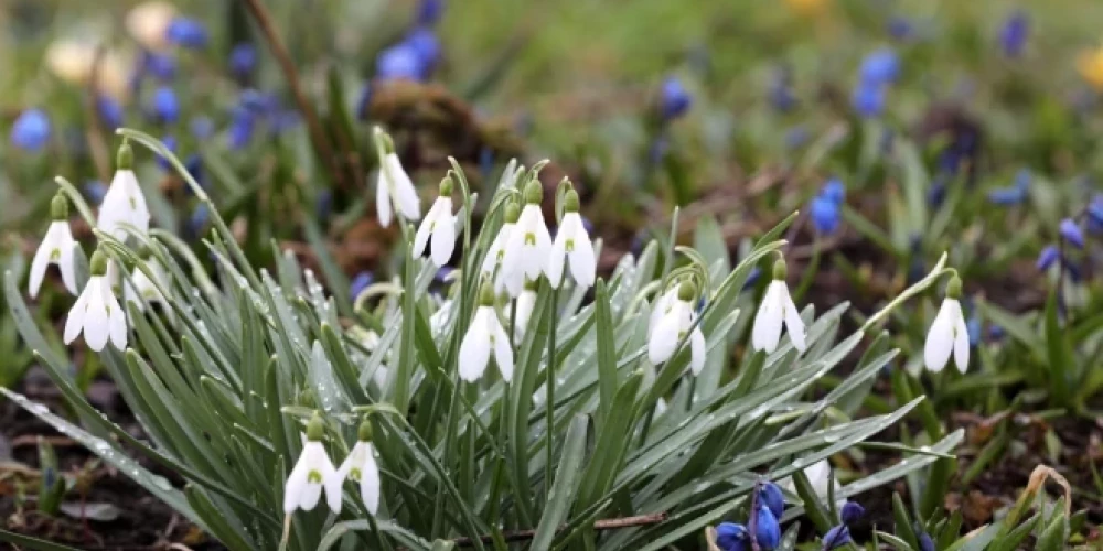 В понедельник температура воздуха может подняться до +16 градусов.