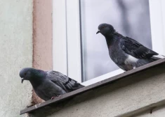 В среду будет преимущественно облачно