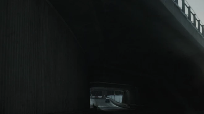 Izstāžu zālē “Rīgas Laikmetīgās mākslas telpa” atklās Ievas Raudsepas izstādi “Tokijas lielceļa aina”.