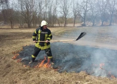 Svilina Sabiles pilskalnu, Ogrē zog cepures, Bauskā uz cilvēkiem gāžas bērzs: kriminālā province