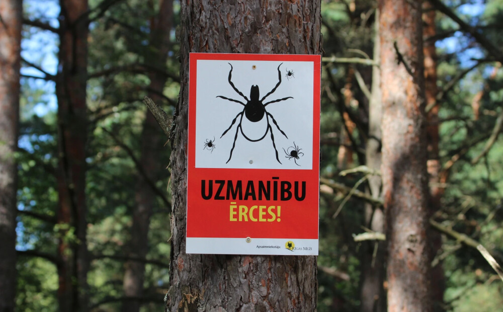 Infektoloģijas centrā izņemtas pirmās ērces: kā jārīkojas, lai sevi pasargātu?