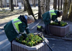 В субботу в Латвии станет солнечнее и теплее