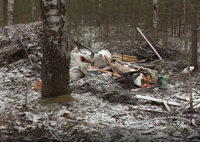 Лень идти до мусорника? Рижане сами превращают столичные леса в свалку