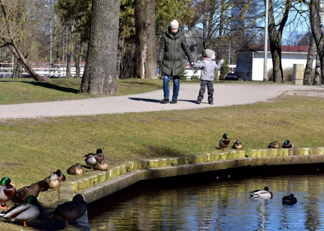 Nedēļas nogale gaidāma saulaina