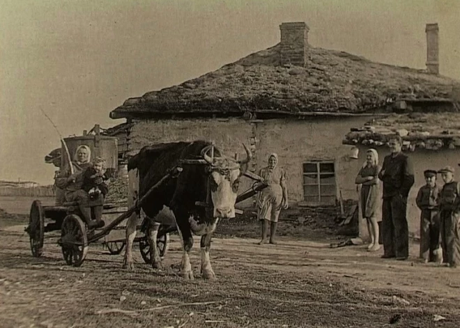 No Dzintras Gekas filmas “Tālā zeme Sibīrija. Kāpēc 1949. gada 25. marts?”.