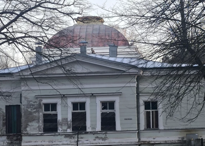 FOTO: savdabīgs skats Liepājā - mīlīgs meža iemītnieks "piesavinājies" vēsturisko Vannu māju