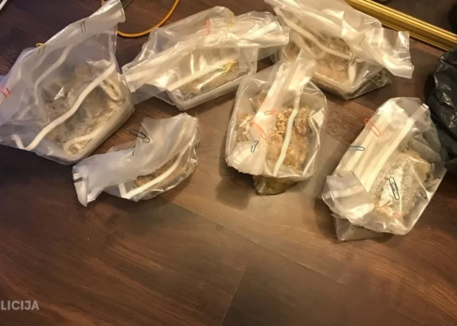 Aiztur jaunieti par halucinogēno sēņu audzēšanu Juglā