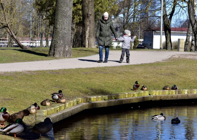 В четверг солнце прогреет воздух до +12 градусов