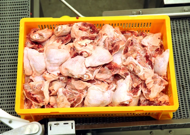 Выращено без антибиотиков - что означает эта маркировка на мясе?