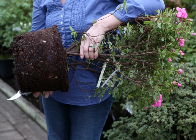 Pavasarī pieaug rosība Latvijas darba tirgū - sezonas darbi un vakances ar atalgojumu līdz 5350 eiro