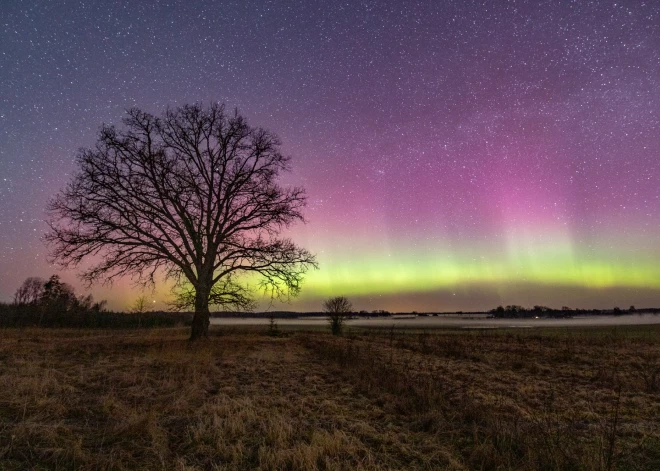 FOTO: Edmunds Mitenieks