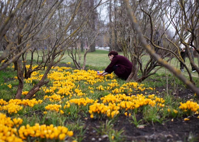В субботу ожидается более солнечная погода - воздух местами прогреется до +17 градусов